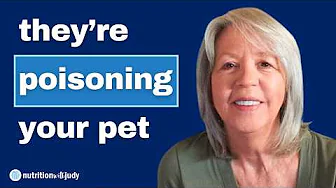 How Kibble Can Be From Condemned Meat. Truth About Pet Food – Susan Thixton Explains