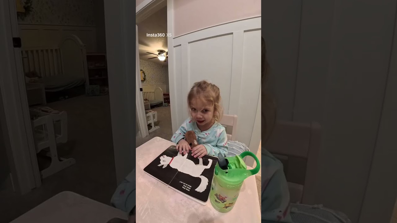 ￼ Brown bear, brown bear