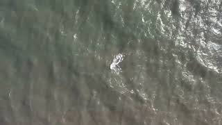 Drone Ocean Bay Park Fire Island, NY