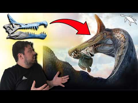 The NEW SPINOSAURUS discovered in NIGER! (Spinosaurus mirabilis)