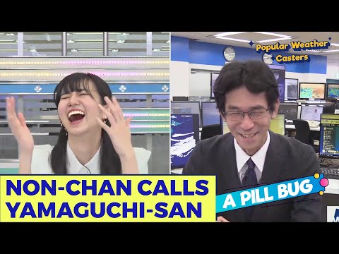 Non-chan calls Yamaguchi-san A pill bug.【Rinon Ohshima】【Weather News】