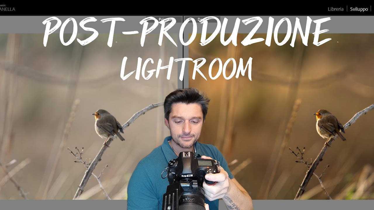 Maschere di Lightroom: perché usare la MASCHERA LINEARE