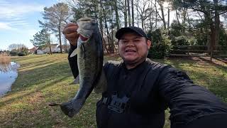 #pesca de #lobinas en #maryland