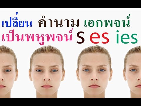 Easy English - Lesson 17.3    การทำนามเอกพจน์ให้เป็นพหูพจน์  การเติม s,es,ies  ตอน 3