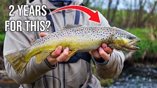 It took me 2 YEARS to catch this GIANT FISH  OLD ABANDONED STREAM FISHING!(WILD BROWN TROUT)