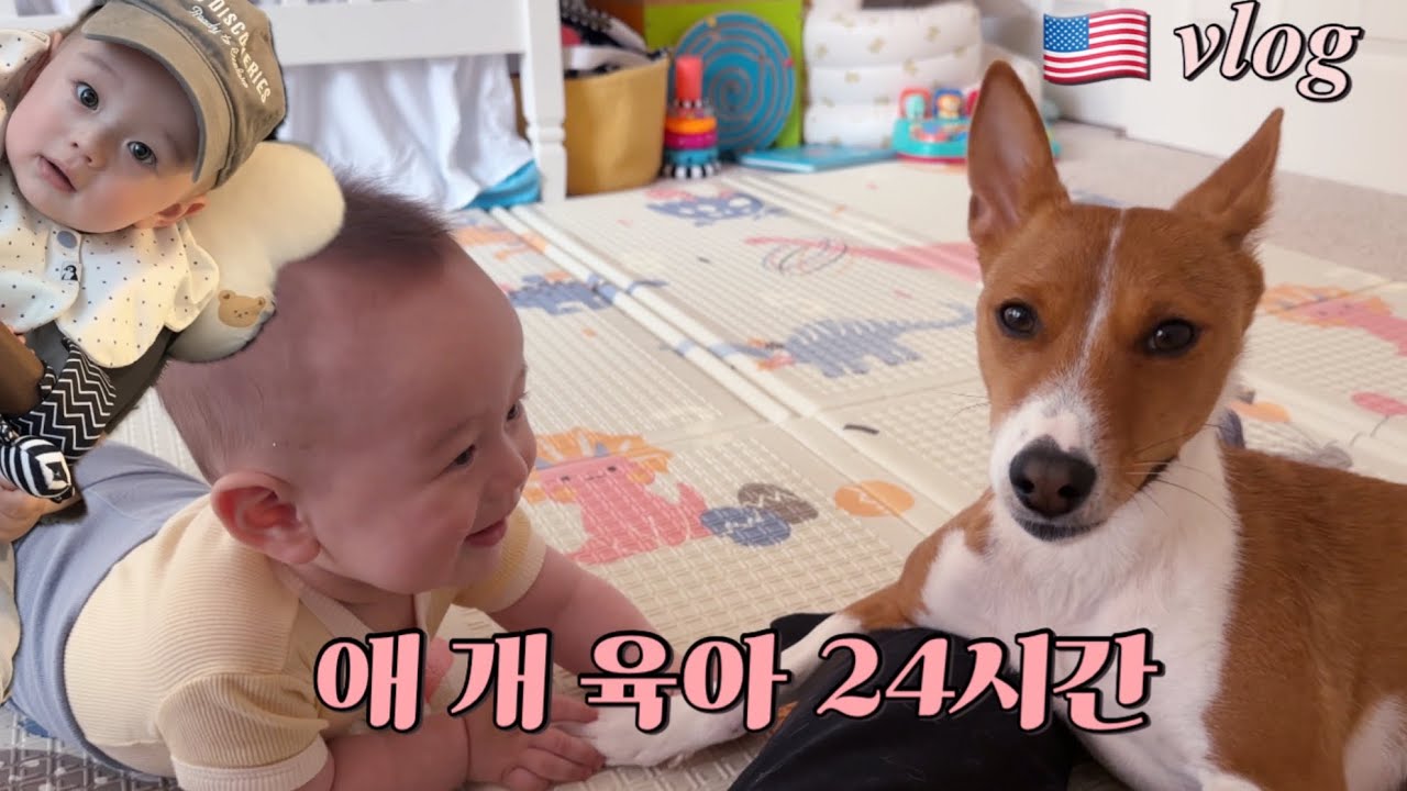 🇺🇸vlog) 귀여운 아기와 강아지 좀 보고 가세요…
