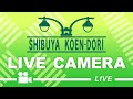 渋谷公園通り のライブ配信