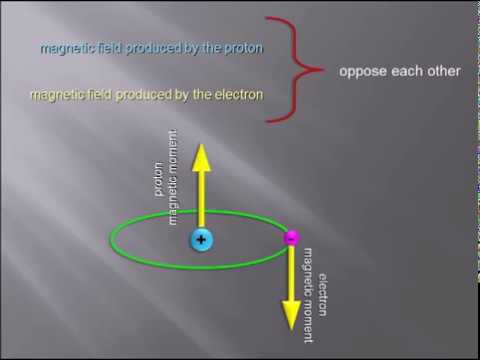 Electrons Spin And Magnetic Moment Atomic Physics Analytical