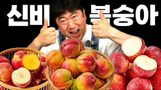 [자막O] 아삭하고 달콤한 신비복숭아 먹방 ASMR 🍑