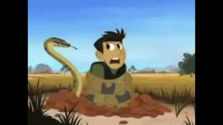 Happy Birthday, Wild Kratts Style!