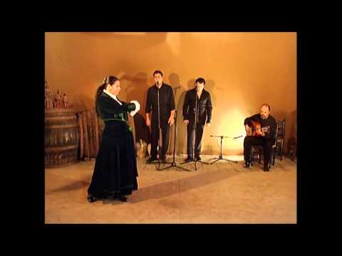 Baile Flamenco Volumen 2 parte 3garrotinmartinetetangosrondeñatarantoszorongo