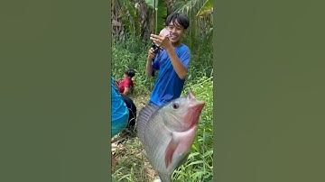 Người Nào Câu Cá Bằng Cần Câu Máy Ngang Giỏi Nhất #shorts