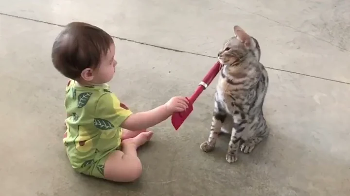 Watch the video about Baby Fends Off Ferocious Bengal Cat