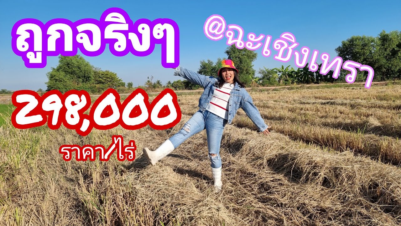 EP.523 ซื้อไว้ยังไงก็ไม่ผิดหวัง ไร่ละ298,000บาท #ที่ดินสวย #ทำเลดี #ถนนยาว500กว่าเมตร