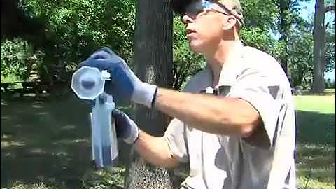 Tree IV System for Web