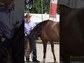 Warwick Schiller Horse Event 2019