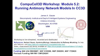 Celebrity CC3D WS Module 5.2 Defining and Running Antimony Networks in CC3D [James Glazier] August 7, 2023 Profile