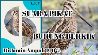 🔴Suara Burung Berkik Burcet Pekungan. Sangat cocok untuk Pikat sing ataupun malam Hari