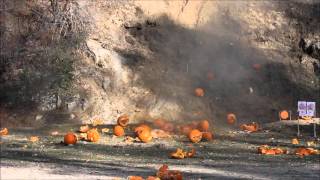 Pumpkin shoot 2015