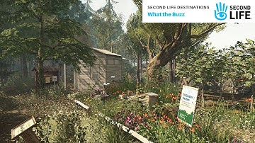 Second Life Destinations - What the Buzz