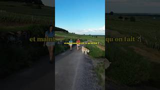 Et Maintenant On Fait Quoi?