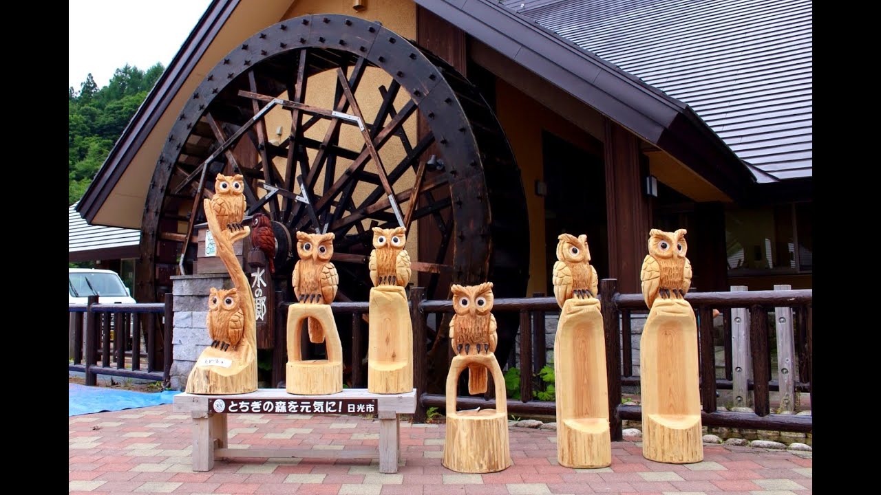 栃木県日光チェーンソーアートカービングChainsaw carving Owl 日光市