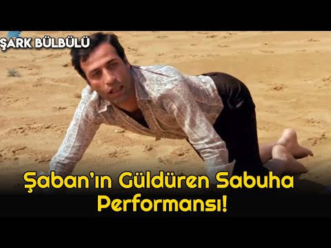 Şark Bülbülü - Şaban'ın Güldüren Sabuha Performansı