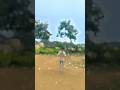 oo rangabati 🥰🥰 #trending #viralreel #odiamusic #dance #lifeisbutadream Here are some ca#Reel
