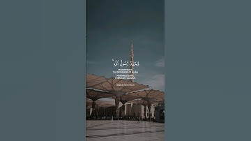 ﴿محمد رسول الله﴾ سورة الفتح، بصوت القارئ ياسر الدوسري #ارح_قلبك #قران_كريم #quran