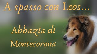 A Po Con Leos... Abbazia Di Montecorona