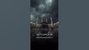 القارئ محمد اللحيدان 📖🎧 | تلاوة تريح القلب ❤🎙 | #محمد_اللحيدان  #تذكير #راحة_نفسية
