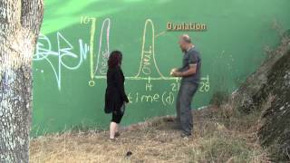 Math in Biology: Cyclic Nature of the Female Menstrual Cycle: Graphing a Cyclic Function