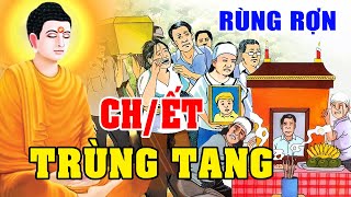 Rùng Rợn Cả Họ Bị Báo Oán CH/ẾT TRÙNG TANG Và Sự Thật Kinh Hoàng Đằng Sau | Phật Giáo Nhiệm Màu