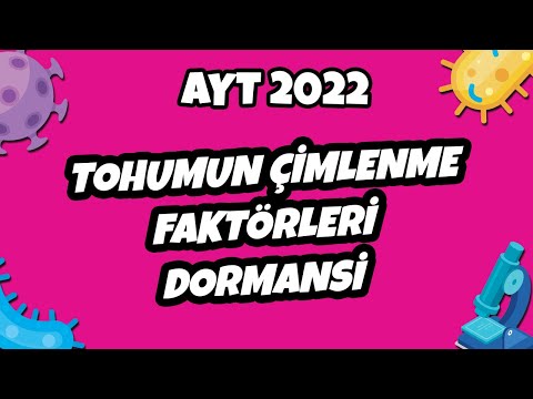 Video: Başlatma faktörlerinin rolü nedir?