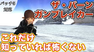 【FF14】ザ・バーンにガンブレイカー(タンク)で挑戦【これだけ知っていれば怖くない パッチ5】