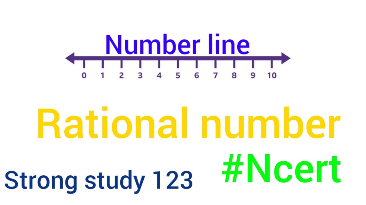 number-line-class-8-math-rational-number-class-8-math-number-line