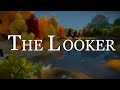 The Looker