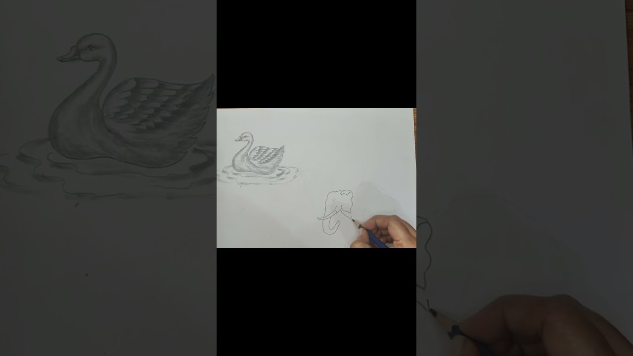 Elephant sketching /How to draw elephant elephant