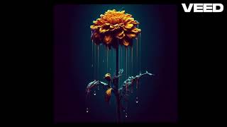 Binary Uprising - The Dead Marigold