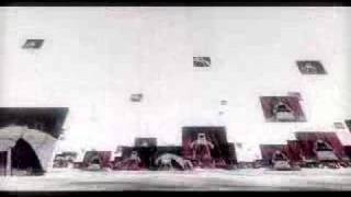 Download Lagu nuSteppa remix - salmonellaDub/djDigital MP3