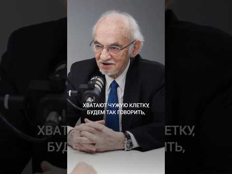 Видео: Зачем организму свободные радикалы? #уом #дадали