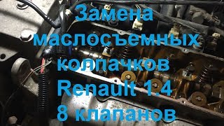 Замена маслосъемных колпачков Renault Kangoo 1.4 (он же двигатель Logan 8 кл) Замена маслосъемных колпачков Renault Kangoo 1.4 (он же двигатель Logan 8 кл)