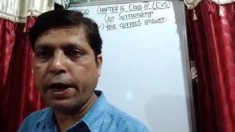 Class IV EVS 15 -10- 2020 by Mr Rupesh Chapter 16
