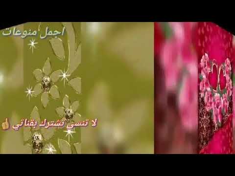 اغنيه عدى ما سلم