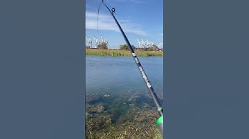 That drag clicker is music