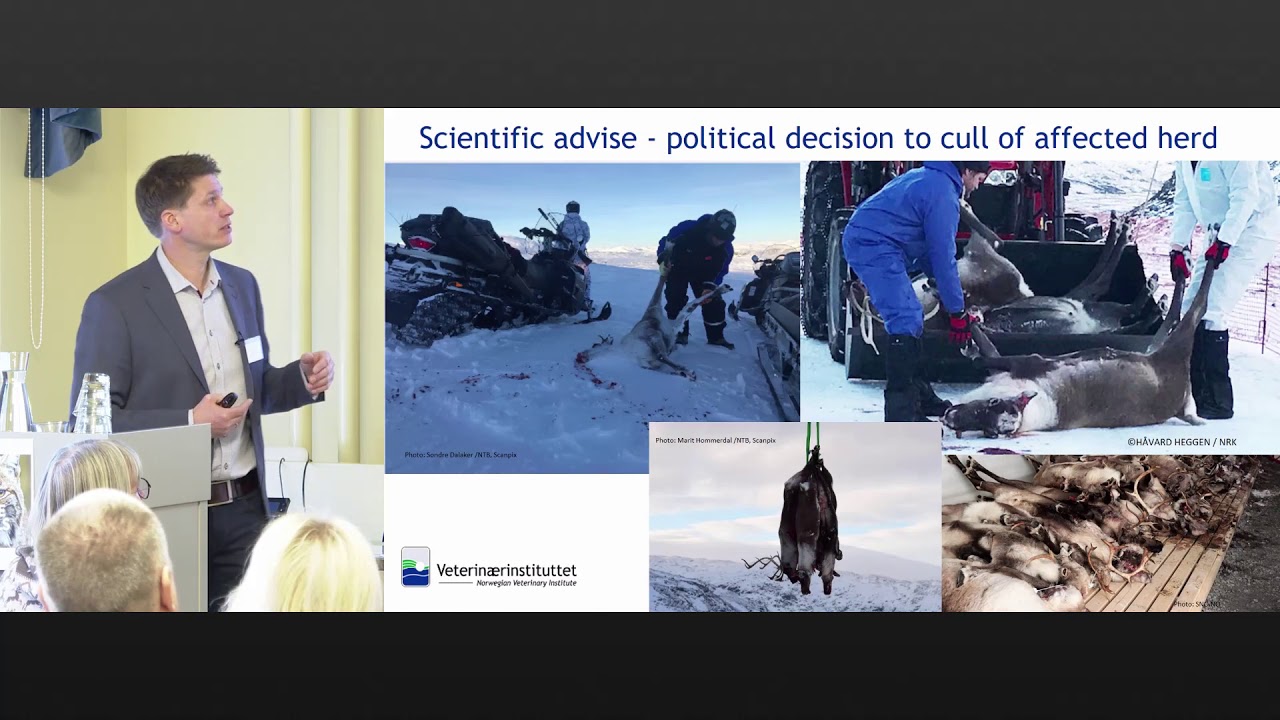 Eradication of wild animals for zoonotic/epizootic diseases and animal welfare