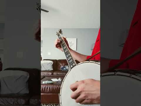 Dooley The Dillards Banjo Bluegrass Andygriffith Acousticmusic Recordingking 