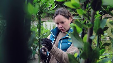 How a career shift made Anna an award-winning plant producer