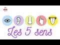 Apprend le corps humain 5   les 5 sens