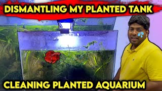 Dismantling Planted Aquarium | Cleaning Planted Tank for the first time | Planted Fish Tank Cleaning by Murali's Vlog 1,613 views 2 months ago 13 minutes, 48 seconds